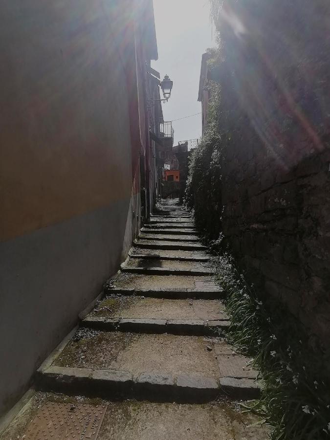 Vila Da Greta La Spezia Exteriér fotografie