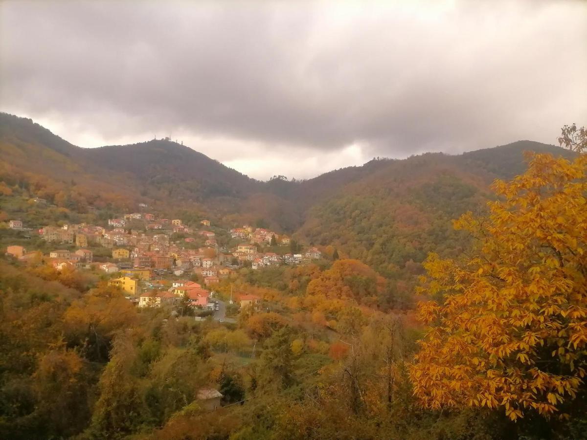 Vila Da Greta La Spezia Exteriér fotografie