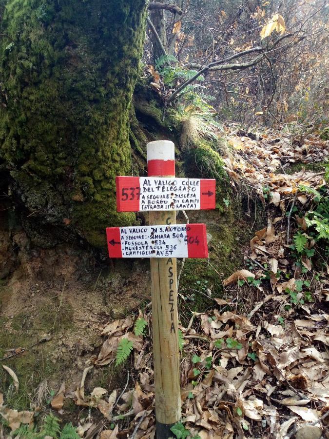 Vila Da Greta La Spezia Exteriér fotografie