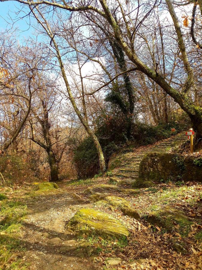 Vila Da Greta La Spezia Exteriér fotografie